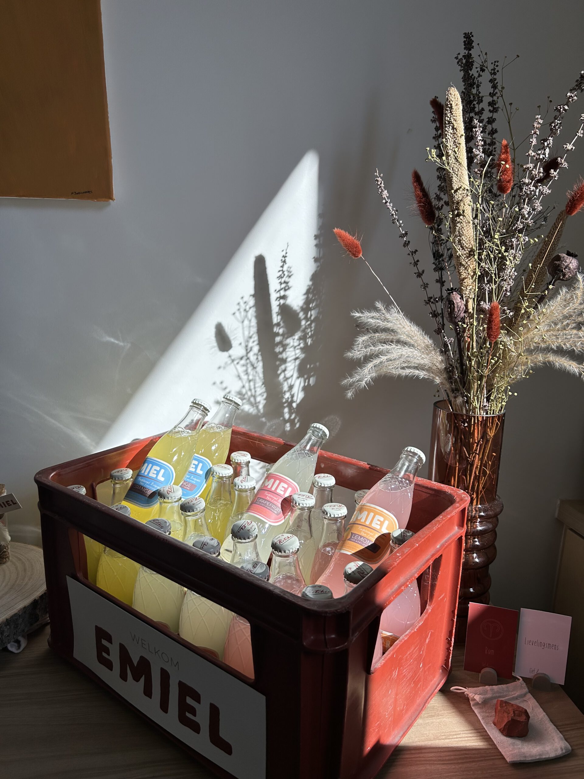 Geboortekaartje Emiel